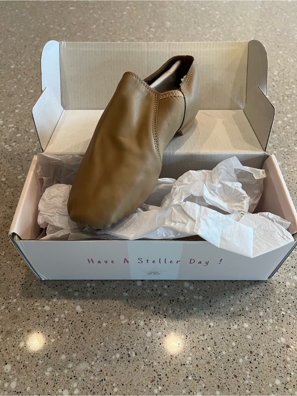Girl’s Stelle Dance Shoes - TAN - 5MB